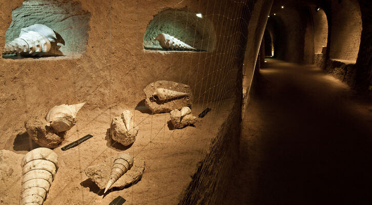 Coquillages Cave (10 sur 30).jpg