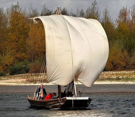 Christophe-Mouton-Voile.jpg