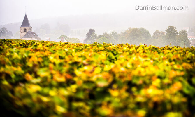 Art-In-The-Harvest-Darrin-Ballman-Commercial-Photography-9190_WEB_LOGO.JPG