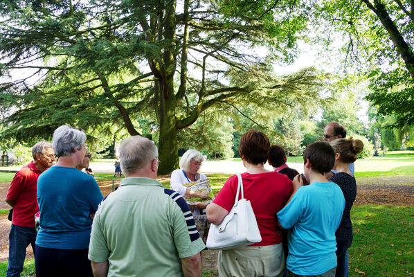 Condé_foret_jardinisée_duc_Croy_balade_ nature.JPG