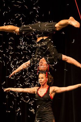 cirque-5fev-leboulon-valenciennes-tourisme.jpg