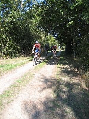 vtt.jpg