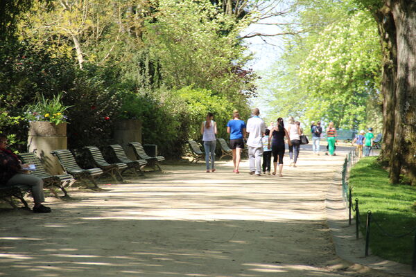 IMG_3716.JPG