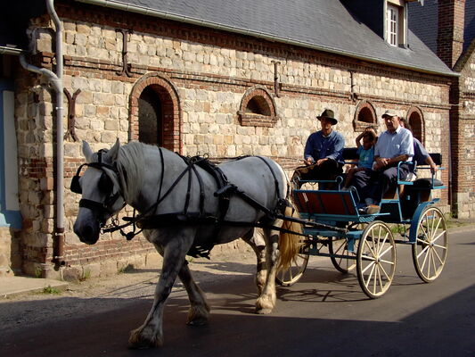Attelage village FdlS.jpg