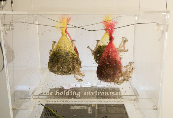 AEF MONTREAL_HOLDING ENVIRONMENT(c)Knowles Eddy Knwoles.jpg