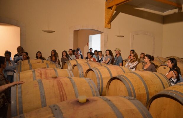 Vignerons4.JPG