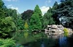 jardin rhonelle.jpg