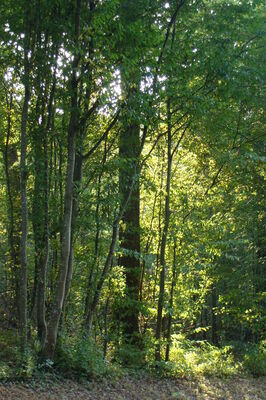 DSC02491.JPG