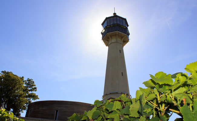 Le phare de Verzenay © Carmen Moya (12).JPG