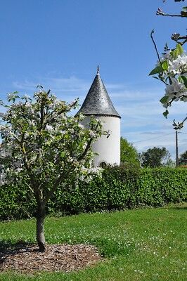st amand sur sèvre- le petit puy loup-facade2-sit.jpg
