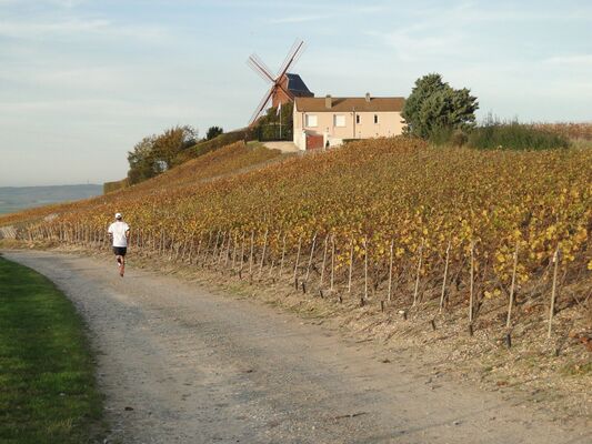 Reims Running Tours (10).jpg