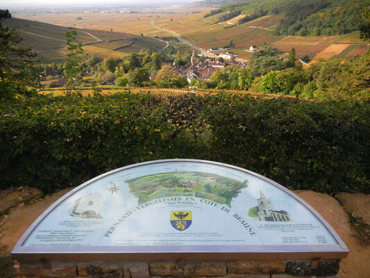 Panorama sur la Côte de Beaune©P Gateau