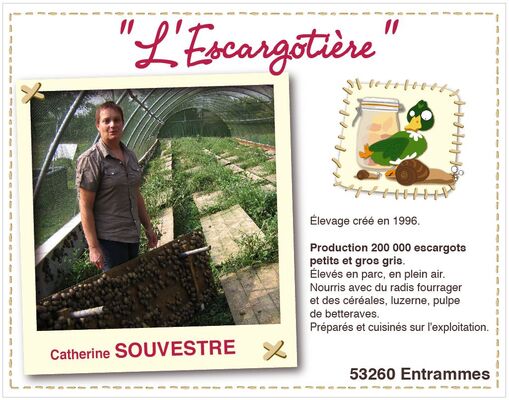 Escargotière.JPG