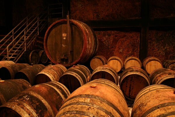 Bouzy Rouge Cellar 2.JPG