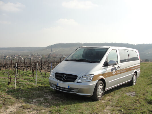 Mercedes dans les vignes Champagne 3.JPG
