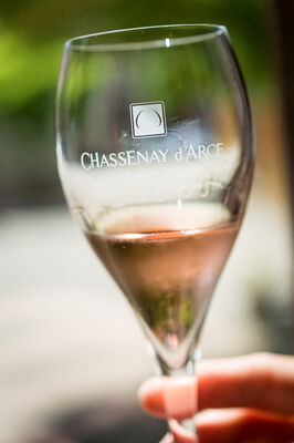 Champagne Chasseany d'arce (5).jpg