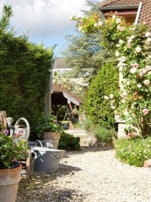 Jardin.jpg