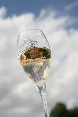 Champagne Dumont(5).JPG
