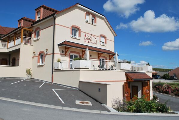 terrasse reception 2.JPG
