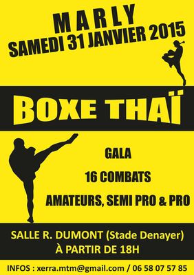 Affiche_gala_de_boxe_31_01_2015.jpg