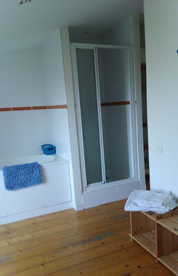 La salle de Bain des Brulonnes côté Douche.jpg