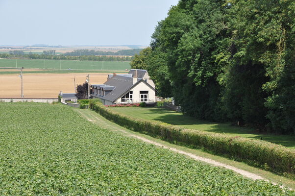 DSC_0436.JPG