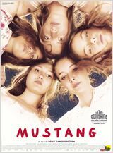 mustang-valenciennes-tourisme.jpg