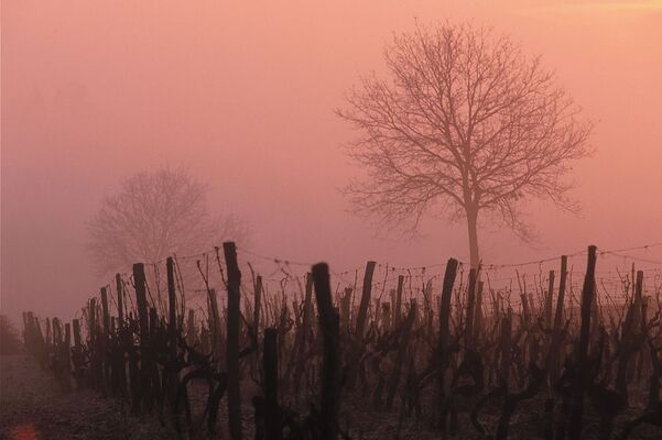 ITINERAIRE