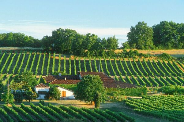 DOMAINE DES CASSAGNOLES