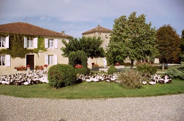 AUBERGE TERRE BLANCHE