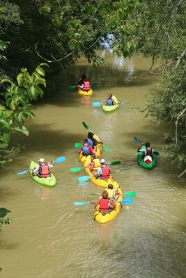 LES CANOES DE BEAUCAIRE