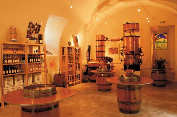 Dégustation vins, Floc et Armagnac du sud-ouest
