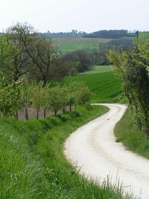 ITINERAIRE