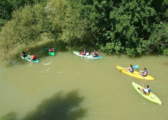 LES CANOES DE BEAUCAIRE