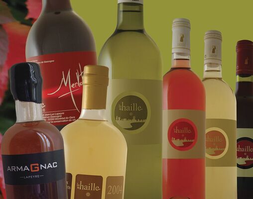 DOMAINE DE LA HAILLE