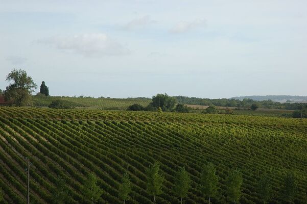 DOMAINE DE LA HAILLE