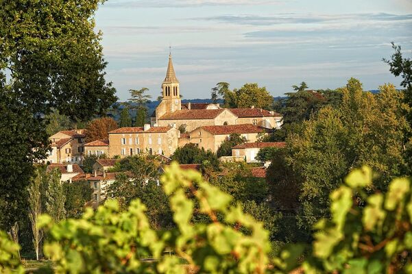 DOMAINE