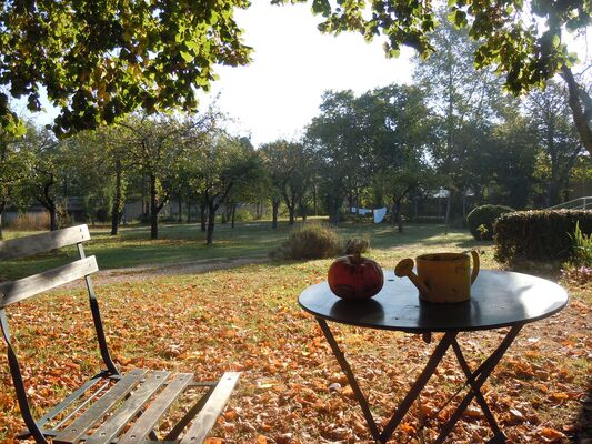 Parc arboré