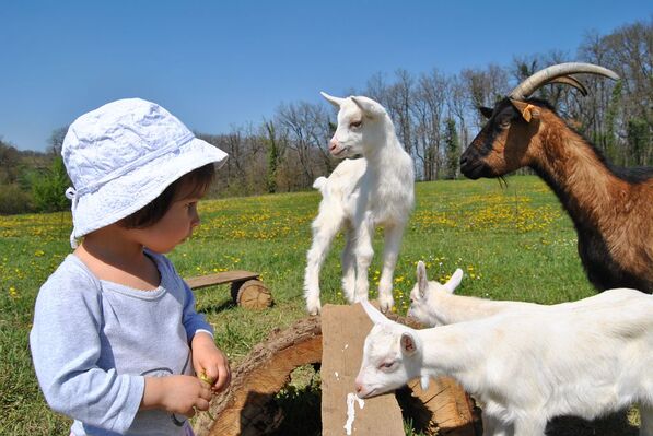 LA FERME EN SCENE