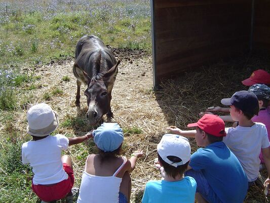 LA FERME EN SCENE