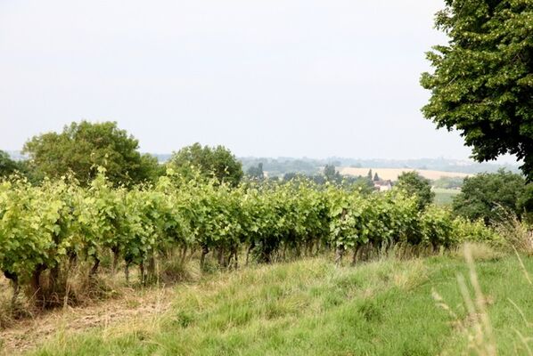 DOMAINE