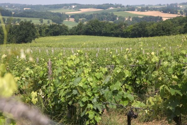 DOMAINE