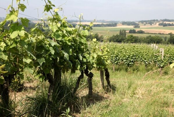 DOMAINE