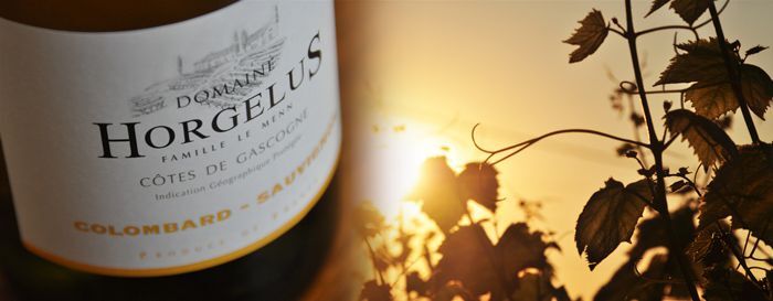 Domaine de l'Horgelus