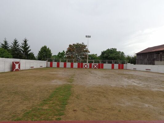 ARENES