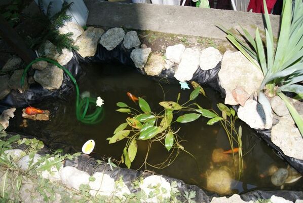 JARDIN