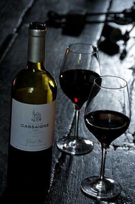 CHATEAU DE CASSAIGNE