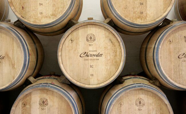 Visite des chais