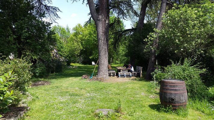 LE CHAMP D'ETOILES