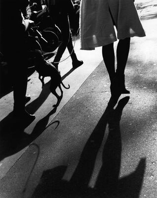Photographie de Daniel Maigné